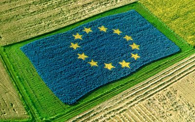 Prodotti agricoli: 186 milioni di euro dall’UE